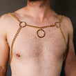 Load image into Gallery viewer, Gold Chain Chest Harness