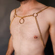 Load image into Gallery viewer, Gold Chain Chest Harness