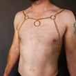 Load image into Gallery viewer, Gold Chain Chest Harness