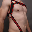Load image into Gallery viewer, DSU ARES Body Harness with C-Ring - Red