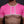 Load image into Gallery viewer, LOTUS Crop Top - Pink
