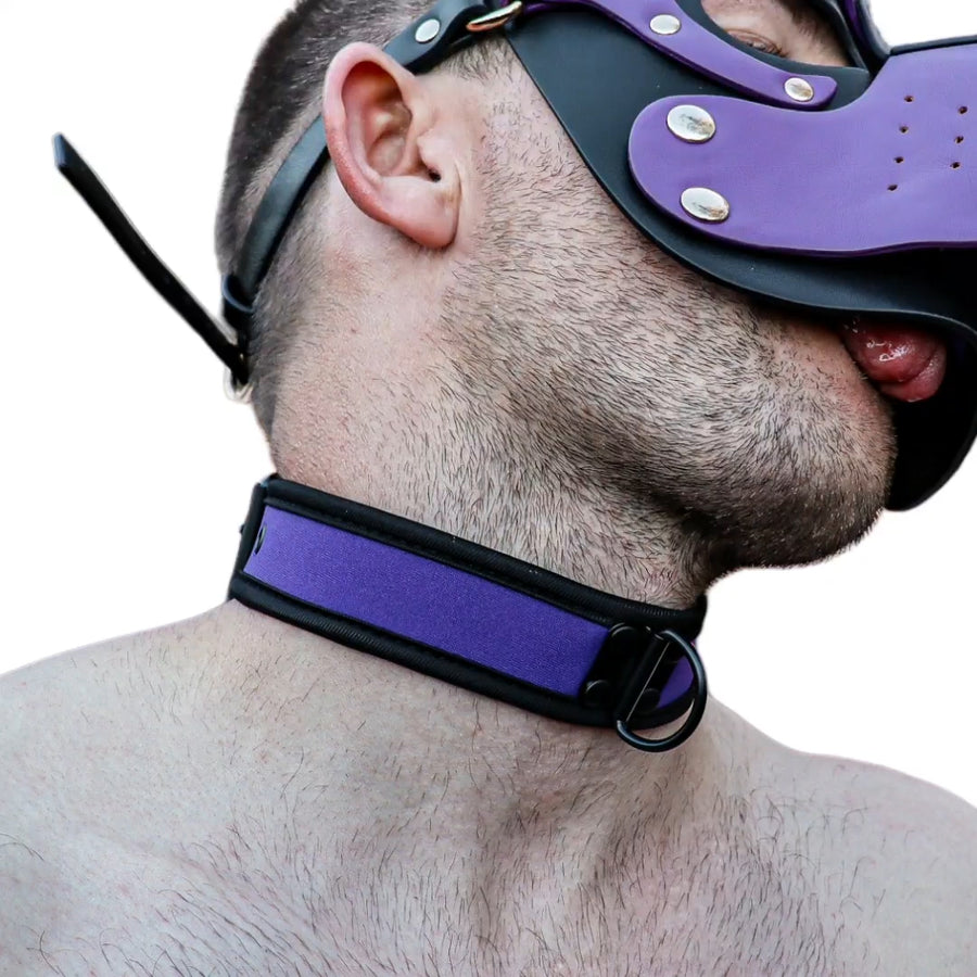 Neoprene Collar - Purple