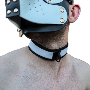 Neoprene Collar - White